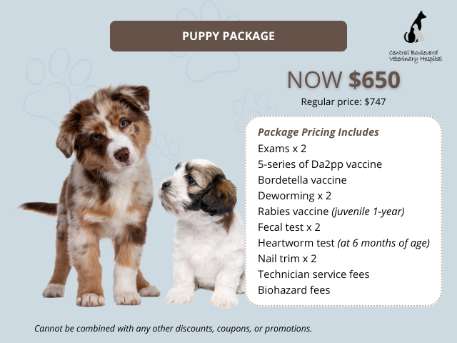 Puppy Packages In Brentwood