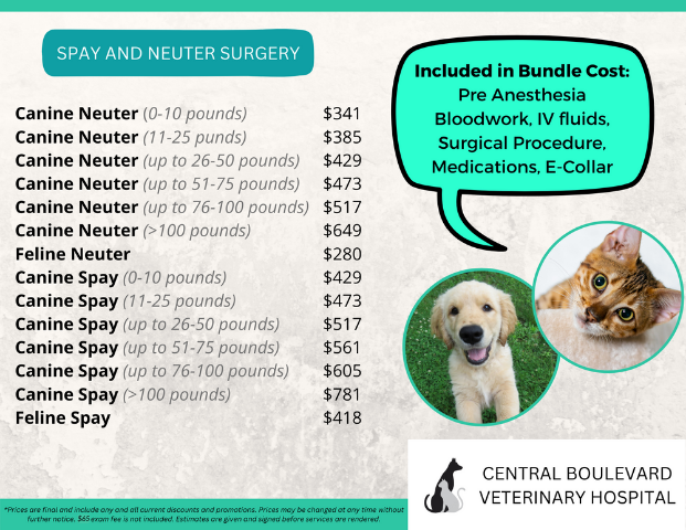 Central Boulevard Spay and Neuter Packages