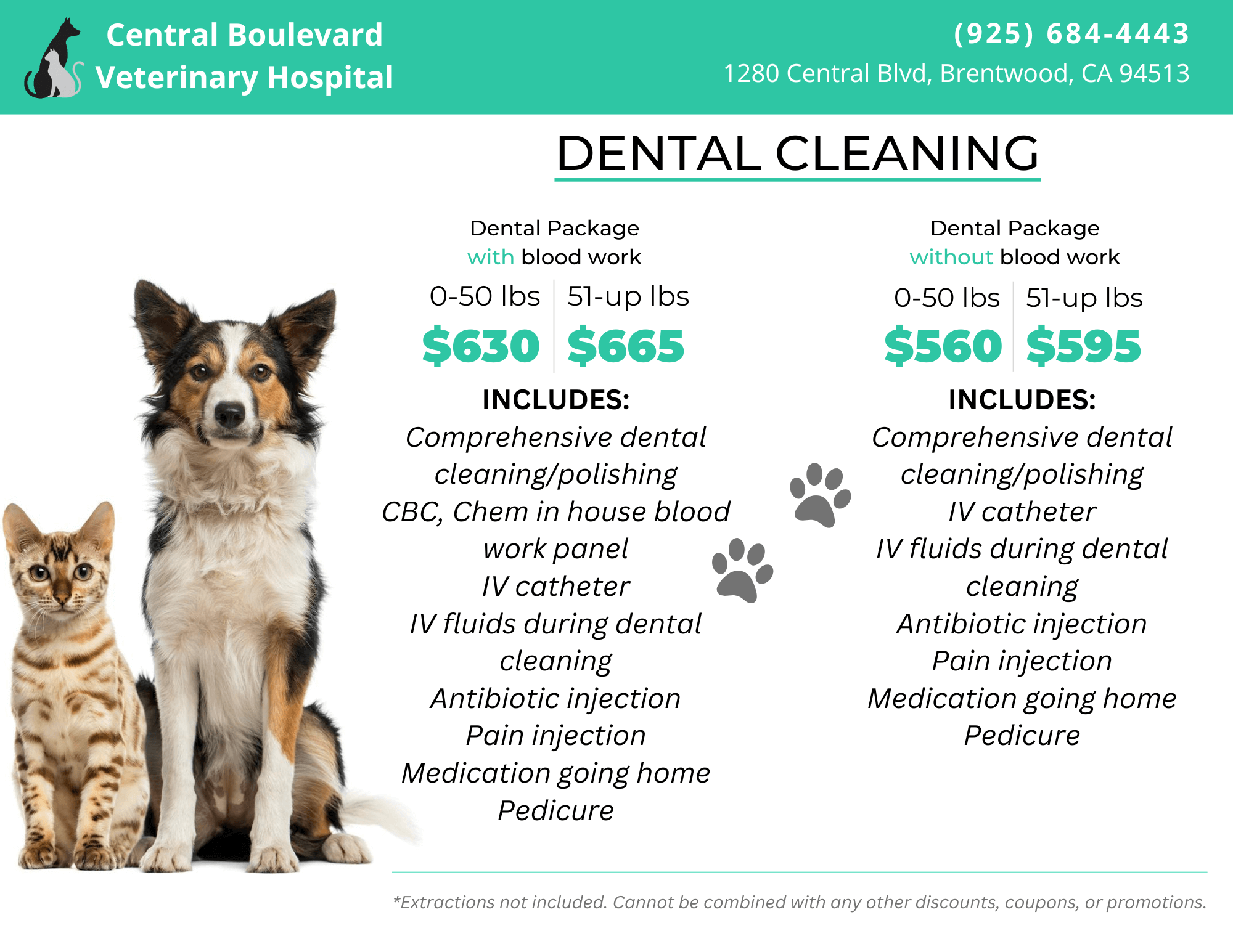 ​​​​Central Boulevard Veterinary Hospital Dental Package
