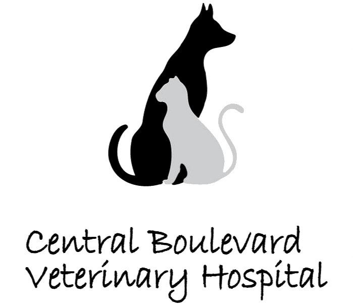Central Boulevard Veterinary Hospital